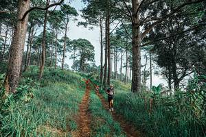 BIB: 
                            <button type="button" onclick="openModal(25652337)" class="btn btn-primary btn-sm float-right btn-popup" data-toggle="modal" data-target=".modal-high-quality">
                        <i class="fas fa-shopping-cart"></i> Add to Cart
                    </button>
                                            <button type="button" onclick="isThisMe(25652337, true)" class="btn btn-success btn-sm float-right btn-popup btn-isme hidden" data-toggle="tooltip" data-placement="bottom" title="นี่คือรูปของคุณใช่ไหม คลิกที่นี่เพื่อเอาเข้าอัลบั้ม">
                        <i class="fas fa-plus"></i> Add to album
                    </button>
                    <button type="button" onclick="isThisMe(25652337, false)" class="btn btn-warning btn-sm float-right btn-popup btn-isnotme hidden">
                        <i class="fas fa-ban"></i> Remove from album
                    </button>